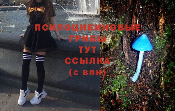 MDMA Богданович