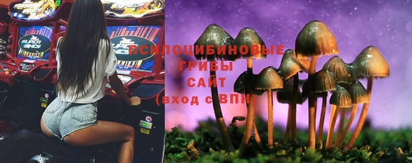 винт Богородск