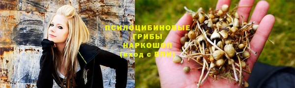 винт Богородск