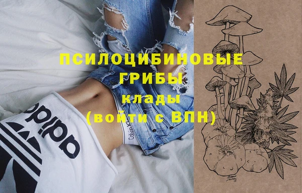 герыч Бородино
