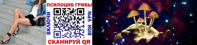 где найти Мегион Псилоцибиновые грибы Magic Shrooms